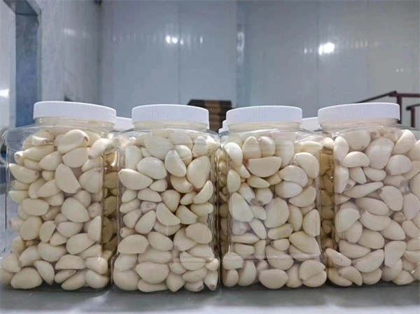product-600-449